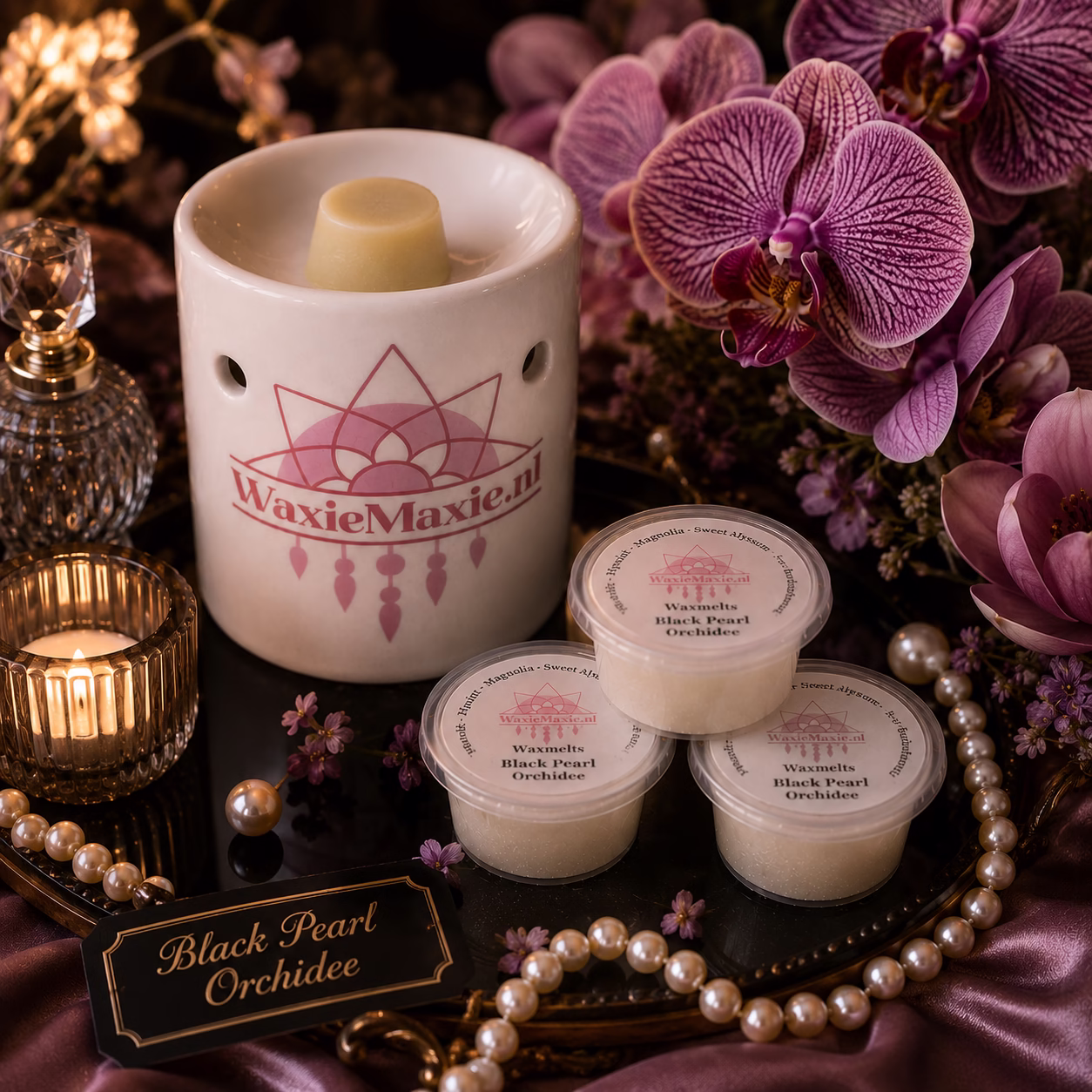 Waxmelts Black Pearl Orchidee 1 Waxmelts Black Pearl Orchidee